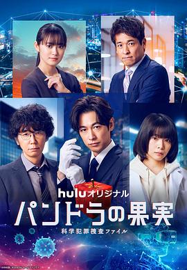 中森玲子爱情网海报剧照