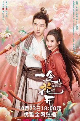 达人萍萍海报剧照